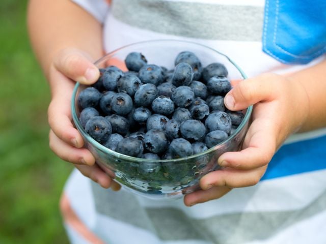 Child holding blueberries